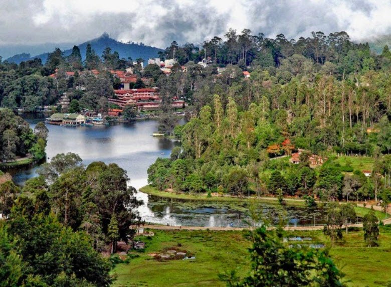 Kodaikanal , Tamil Nadu, India